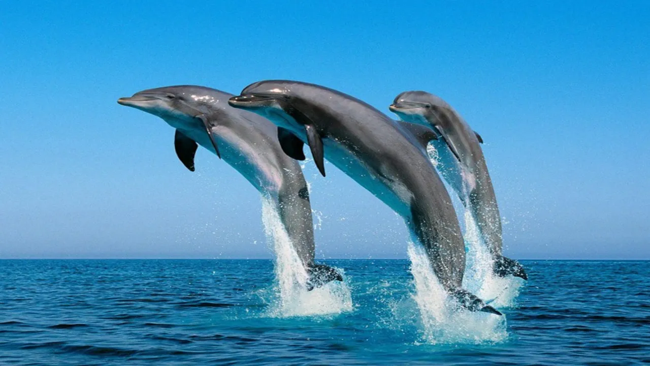 _andaman and nicobar islands