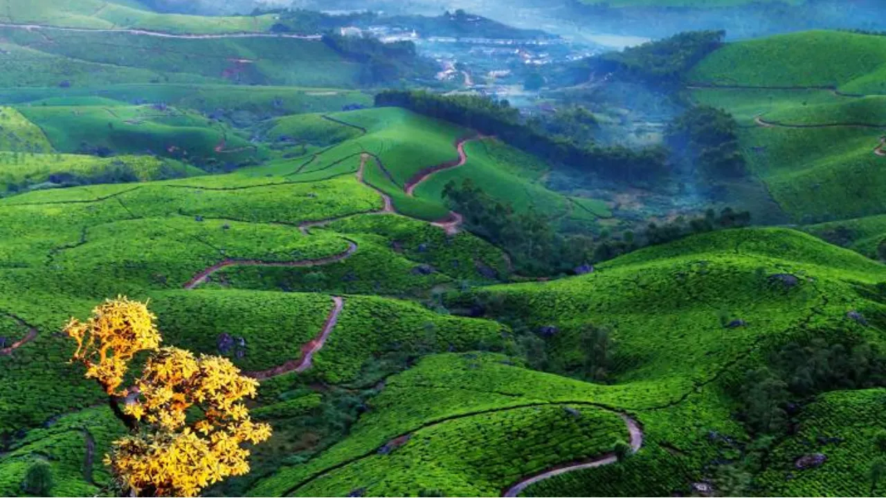 Munnar, Kerala