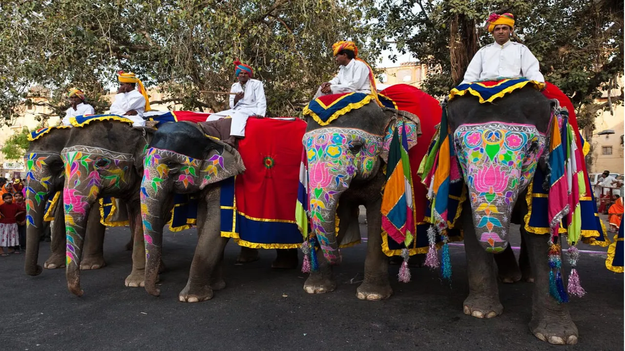 Elephant polo match Jaipur festival