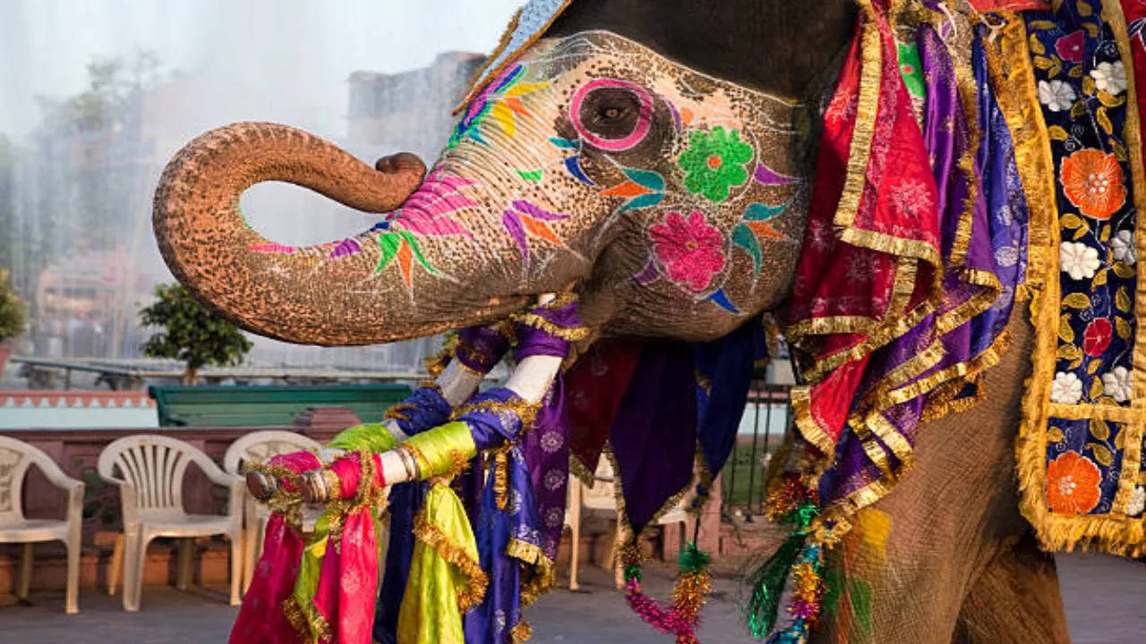 Best time to visit Elephant Festival Jaipur