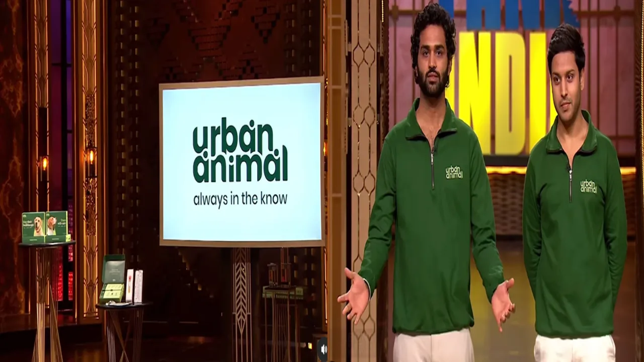 Urban Animal