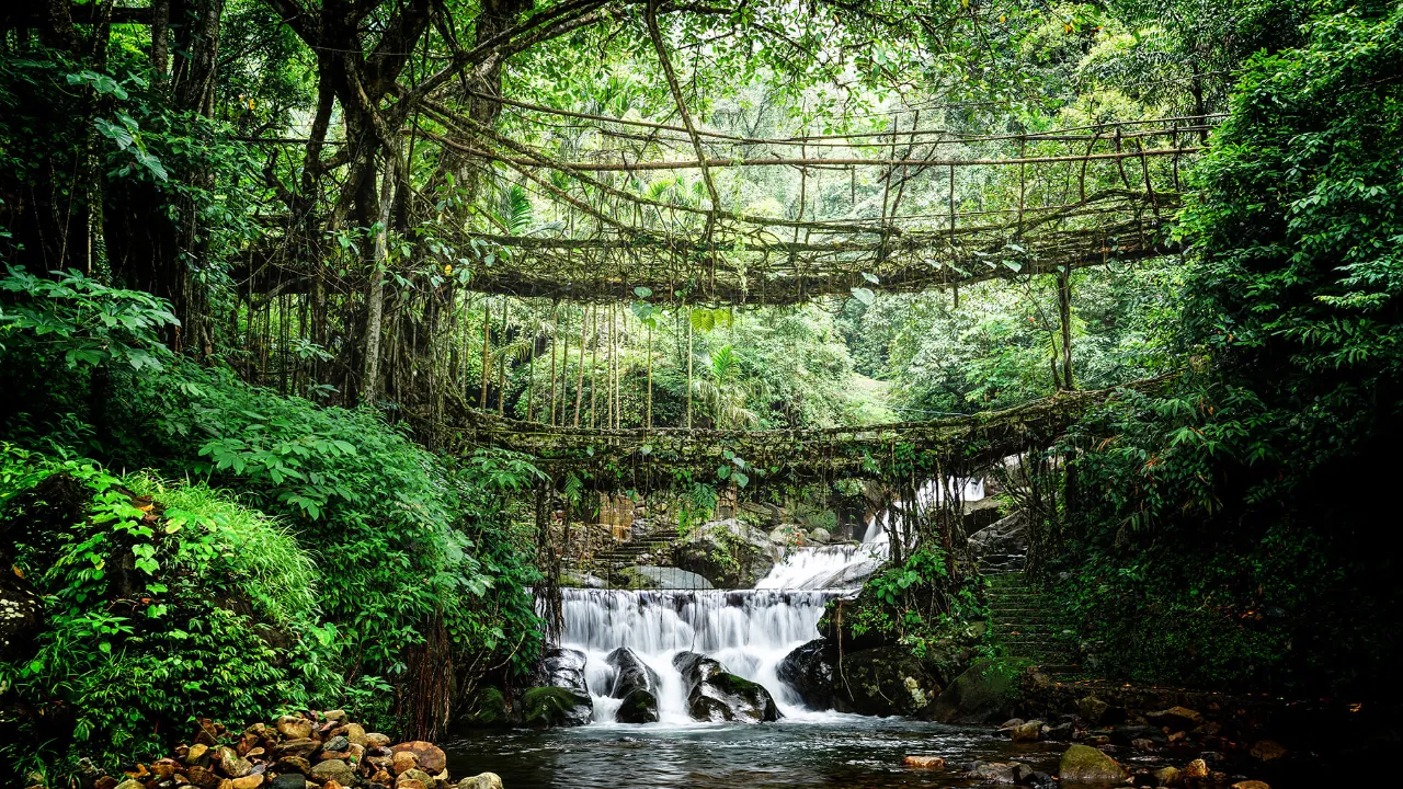 Double-Decker Root Bridge, Nongriat Village