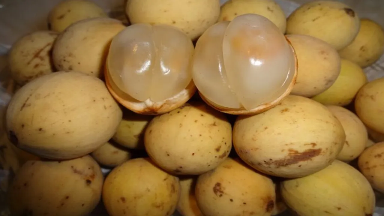 high protein fruits in india