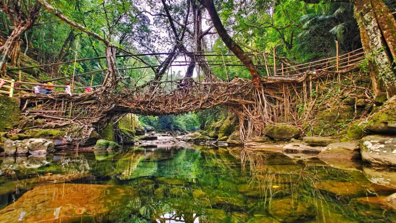 Ritymmen Root Bridge, Nongthymmai Village