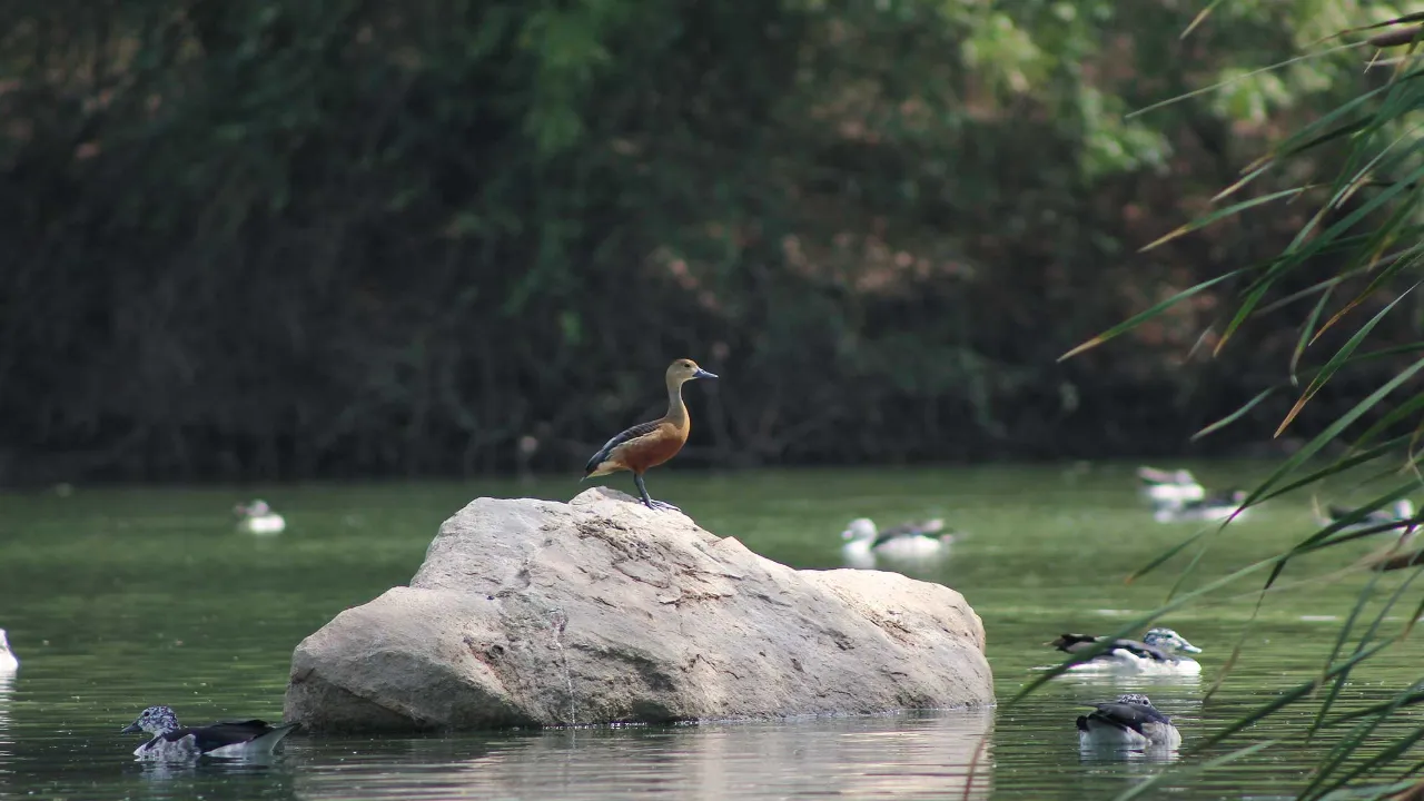 best park and nature attraction in Vadodara Gujarat