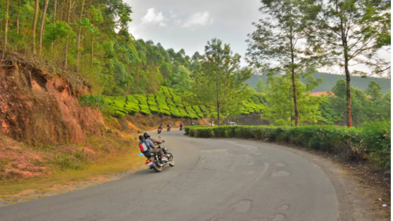 mountain biking in Munnar India