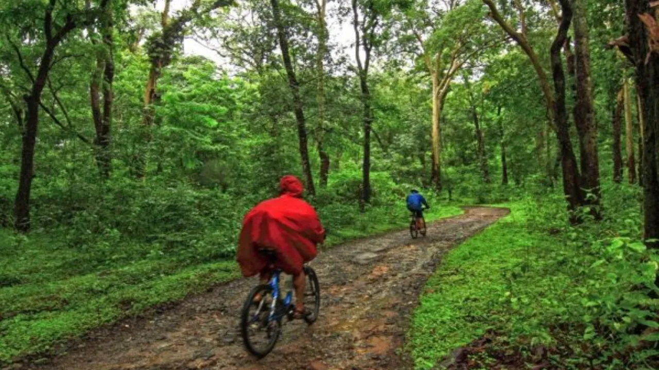 mountain biking in Coorg India