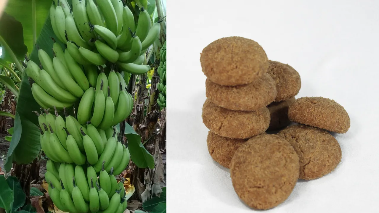 Banana biscuits