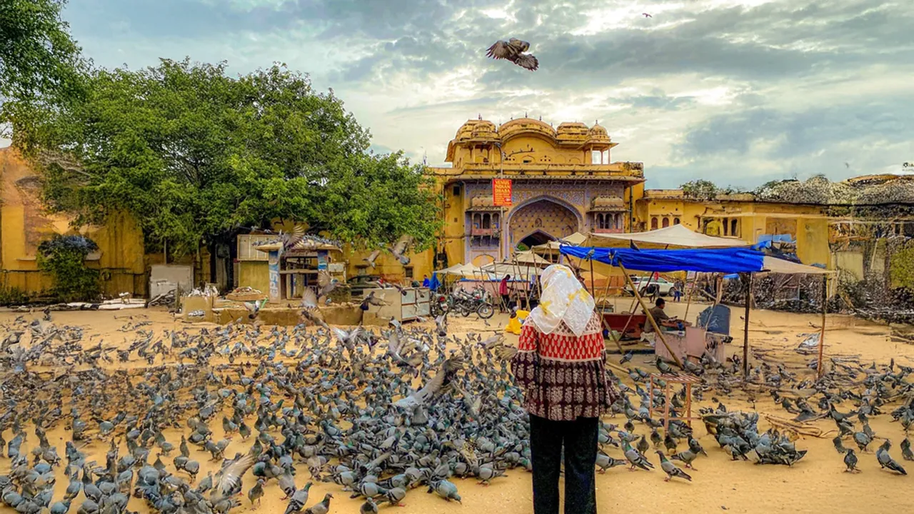 Lanes of Jaipur 