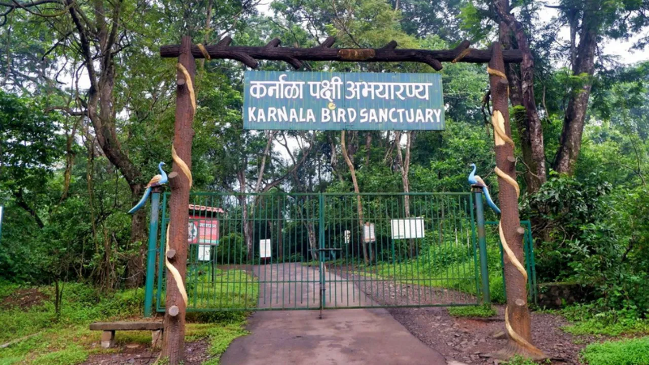 Best Walking Trails in India Final FI