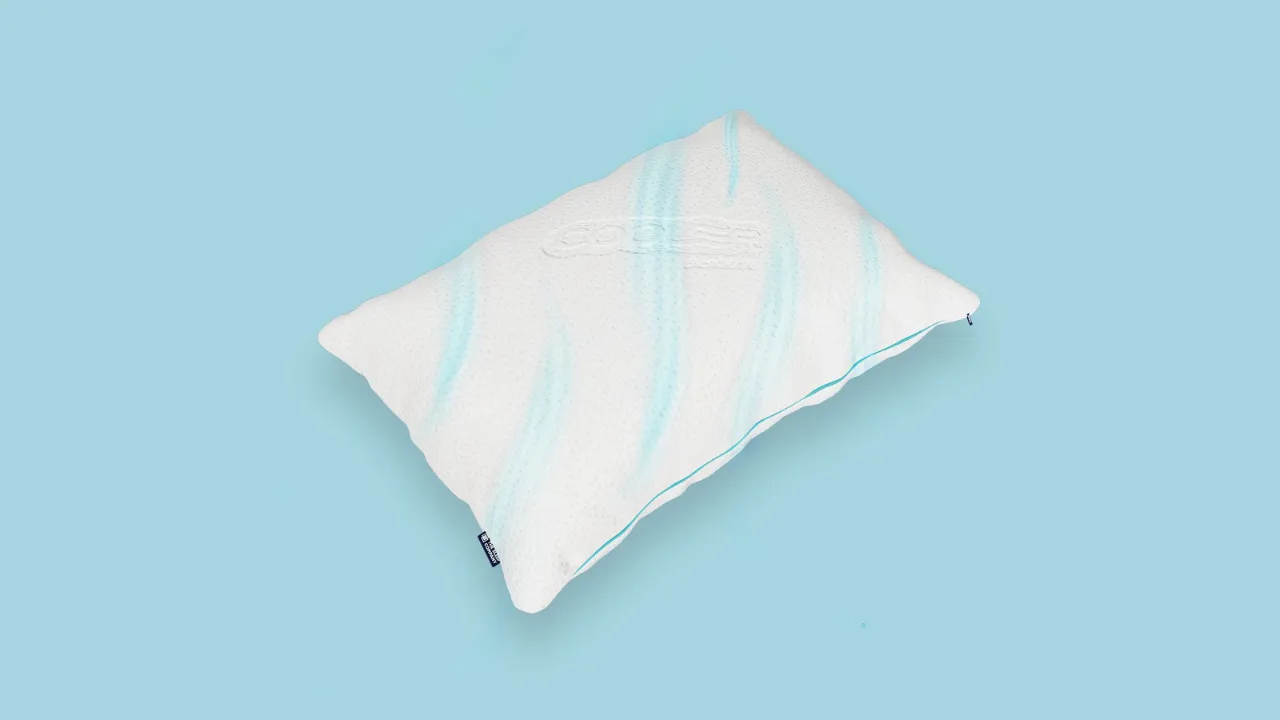 The Sleep Company