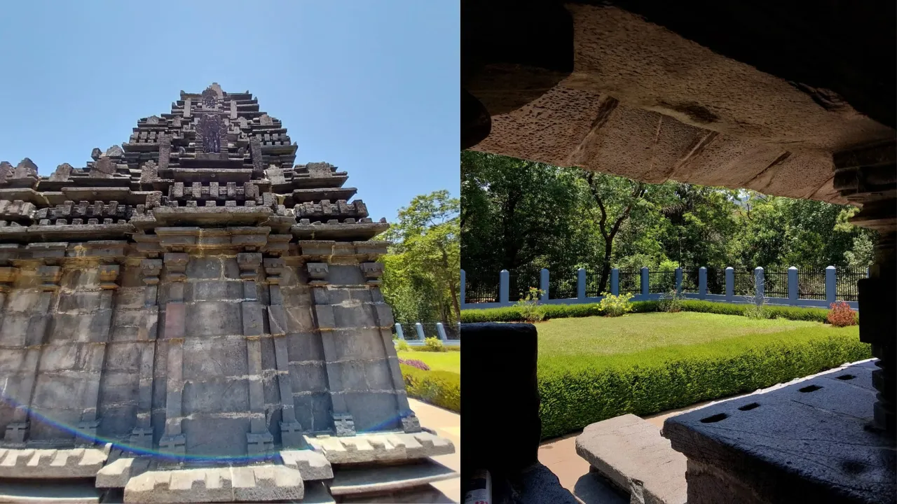 Tambdi Surla 4