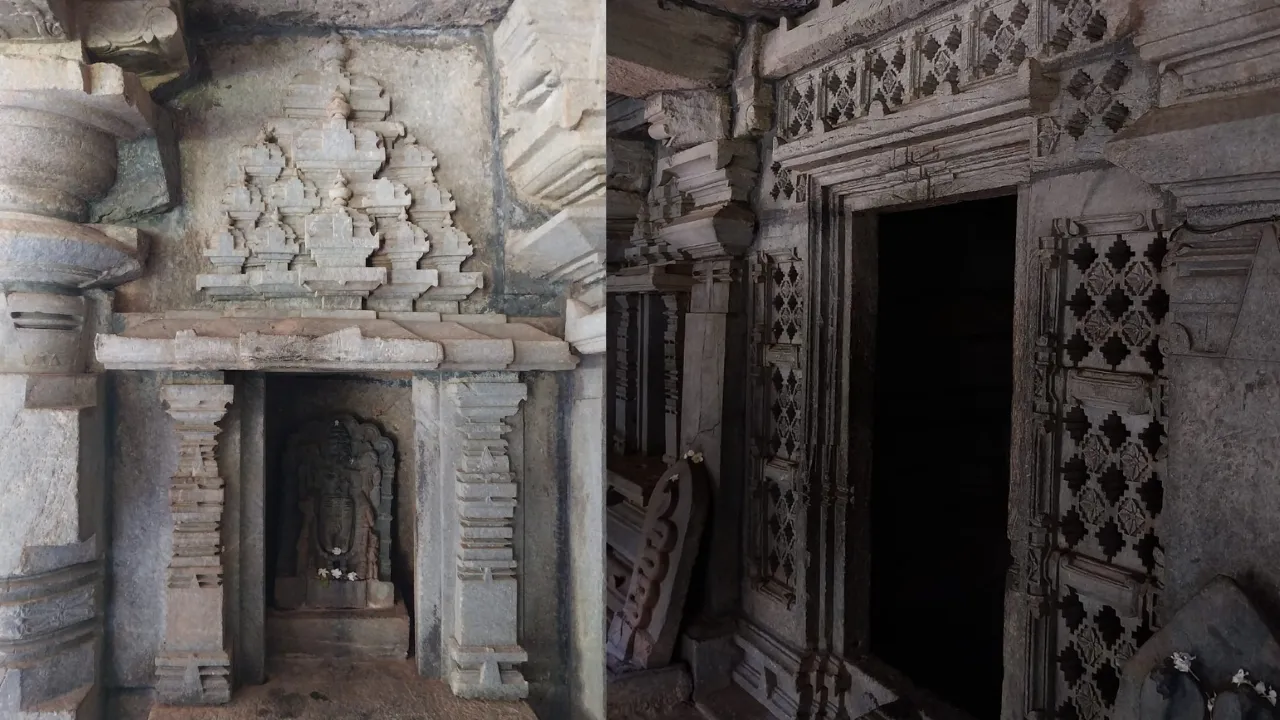 Tambdi Surla 5