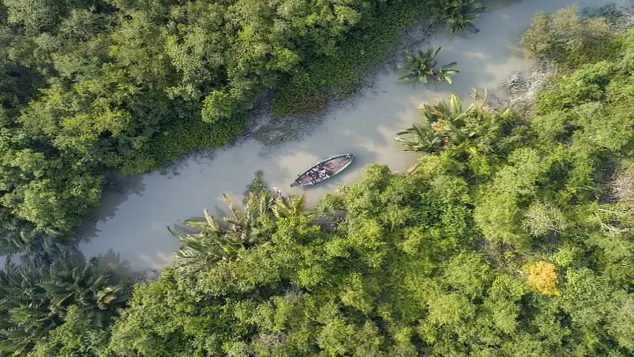 Sundarban tourism Sanctuary wildlife watch by boat