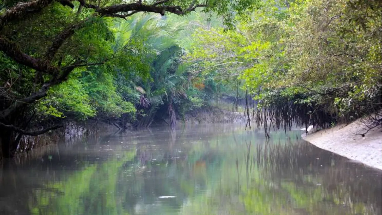 sundarban wildlife sanctuary by boat