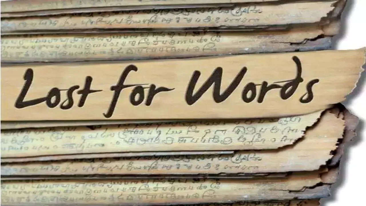 Preserving Endangered Indian Languages
