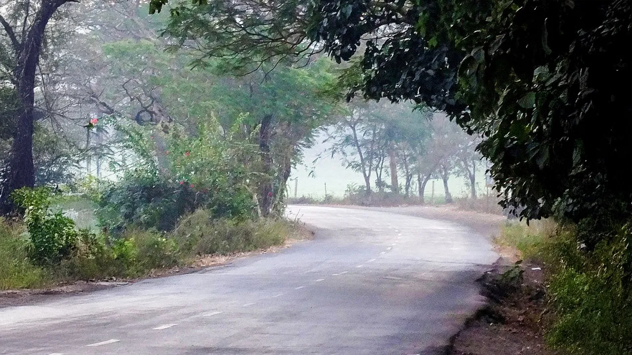 Aarey Colony
