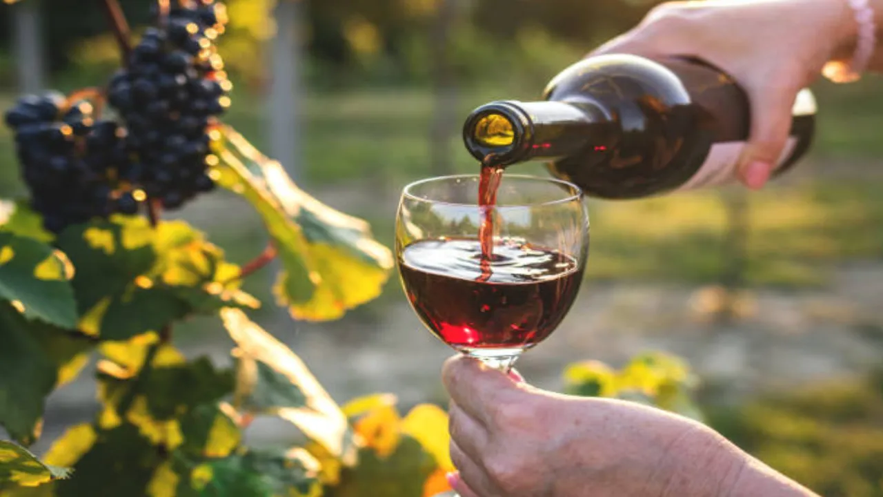 best red wine in India