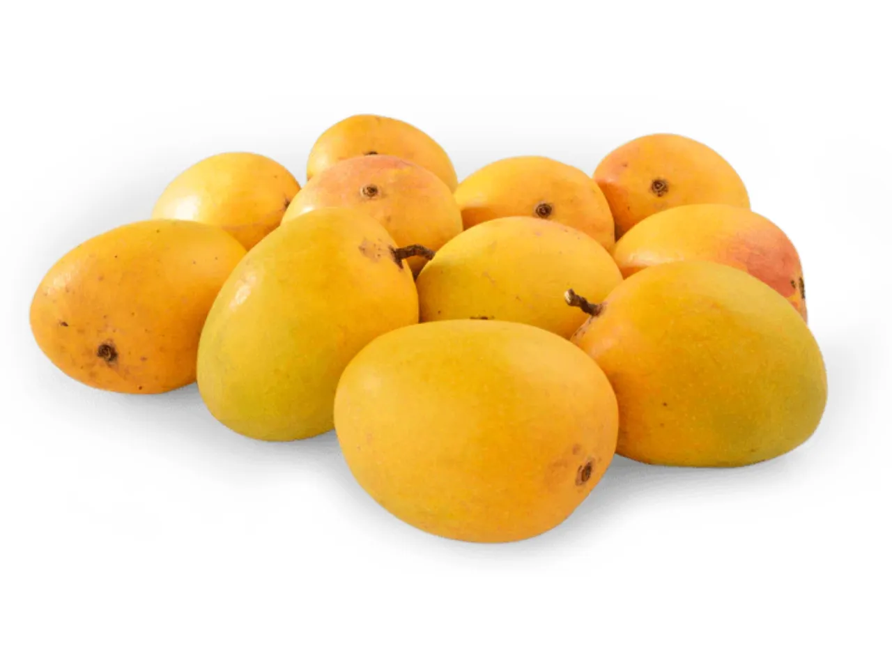 badami mango 