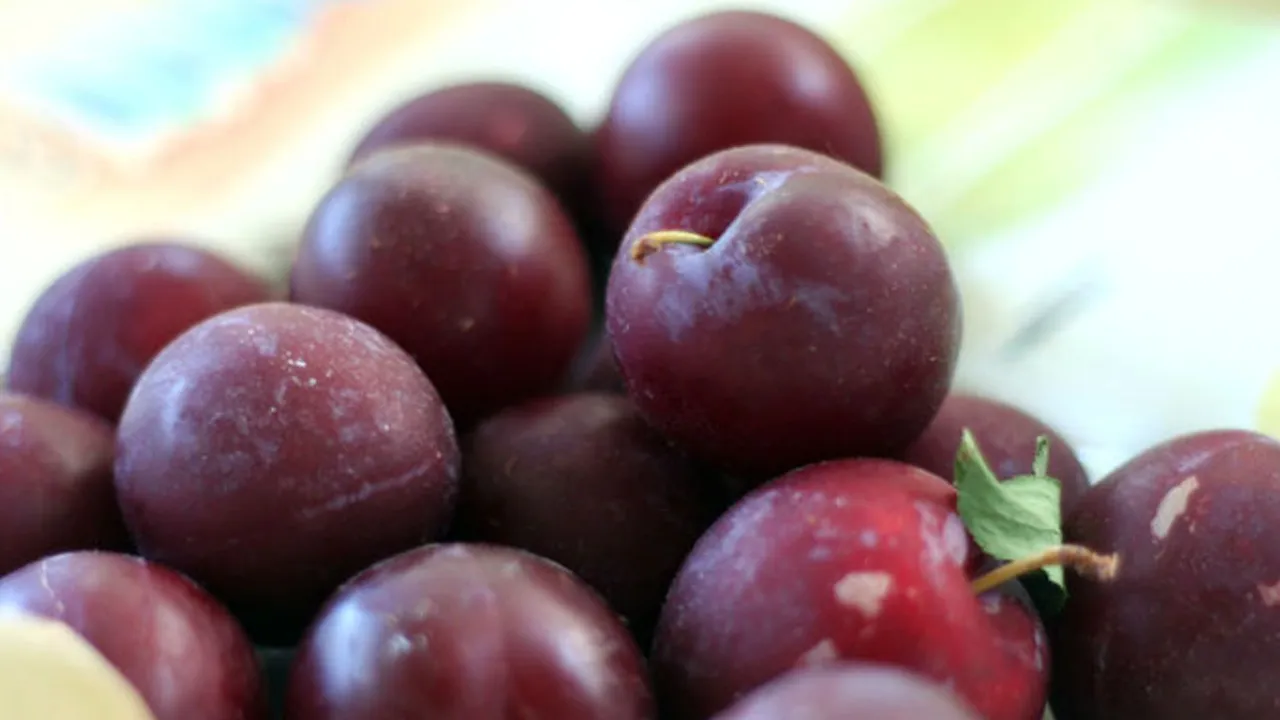 Did you know about these monsoon fruits of India?