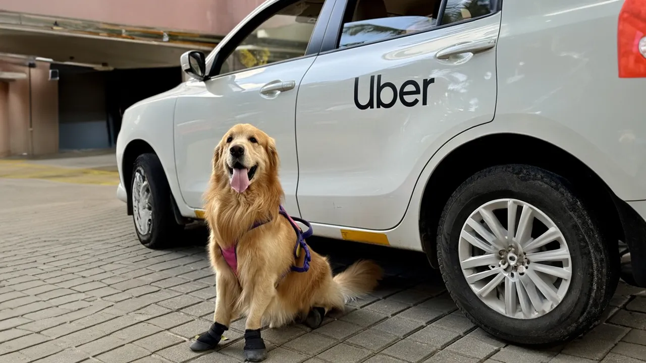 uber pet 