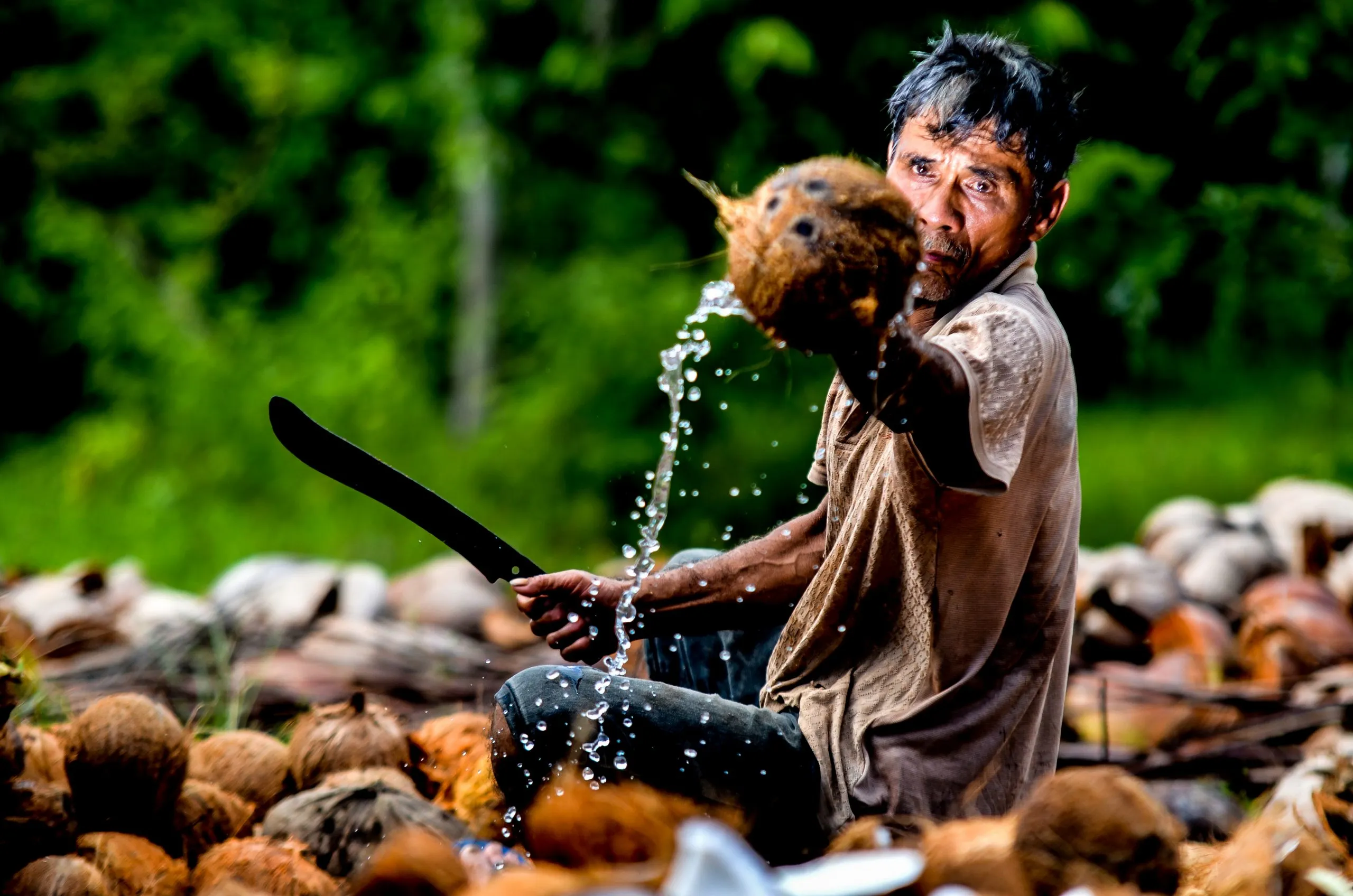 coconuts are more Indian