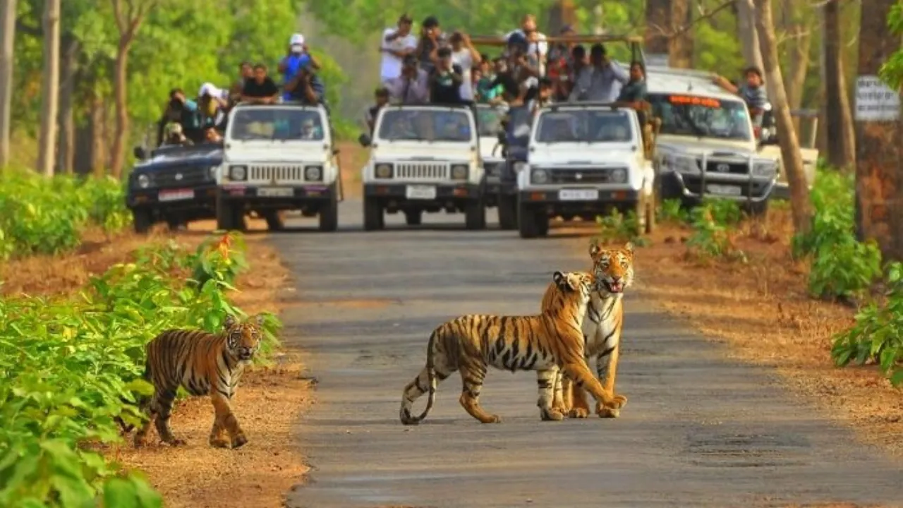 wildlife in rajasthan