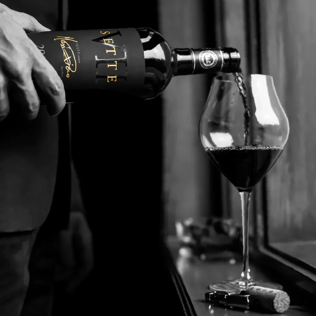 Sette By Fratelli