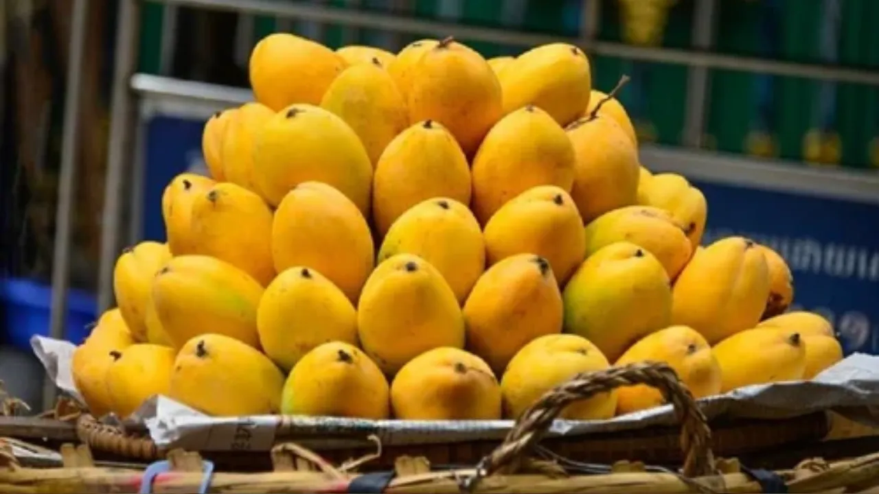 Jardalu Mango