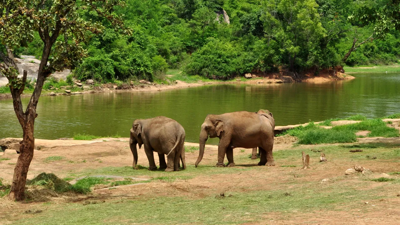 green spaces in bangalore