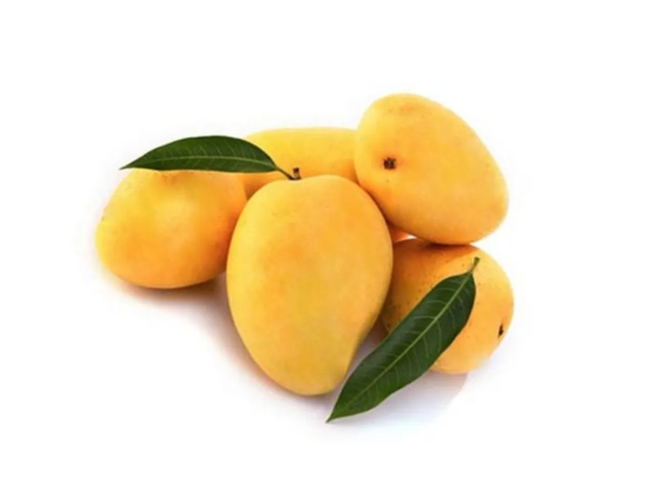 banganpalli mangoes