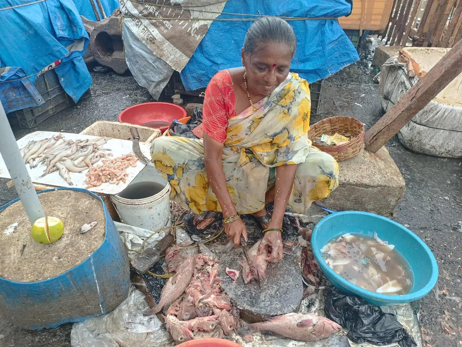 Narali Purnima