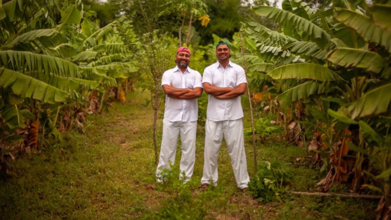 Two Brothers Organic Farm