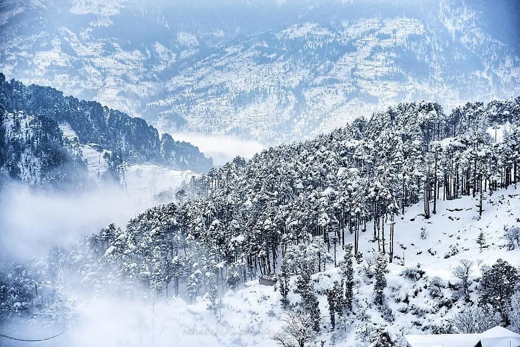 snow in India