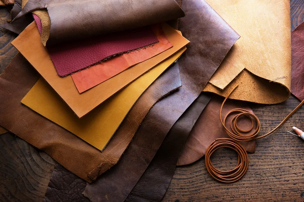 Indian Vegan Leather Brands