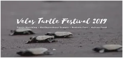 Velas Turtle Festival