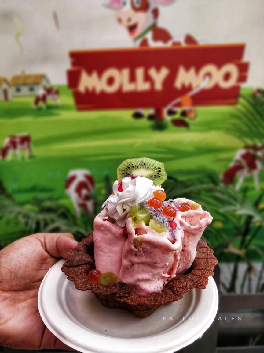 molly moo