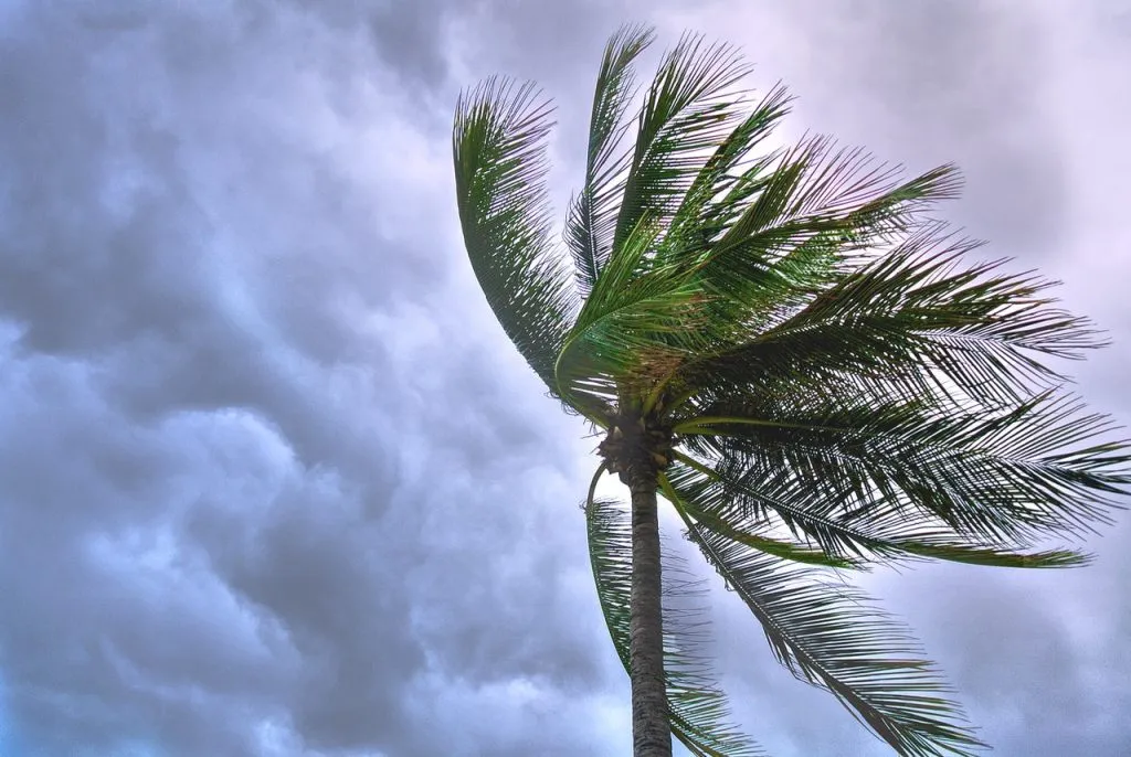 how to prepare for cyclone Nisarga