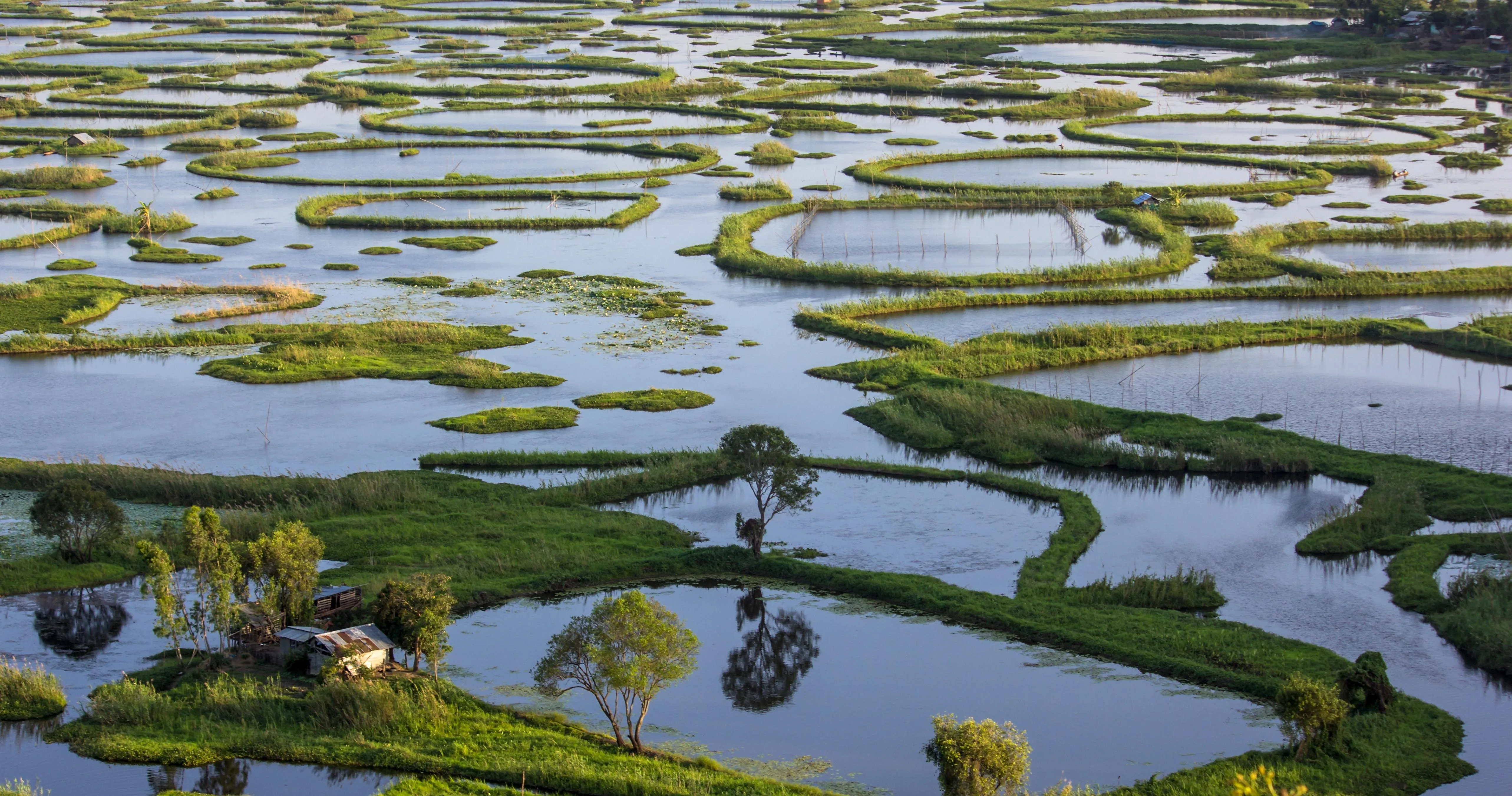 Tripura, Manipur, and Meghalaya