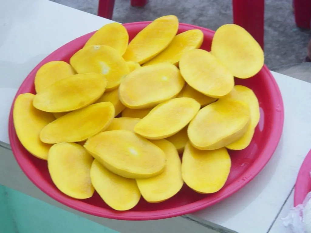 fun facts about mangoes