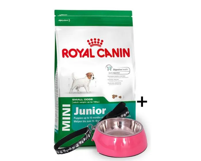 online pet supply stores