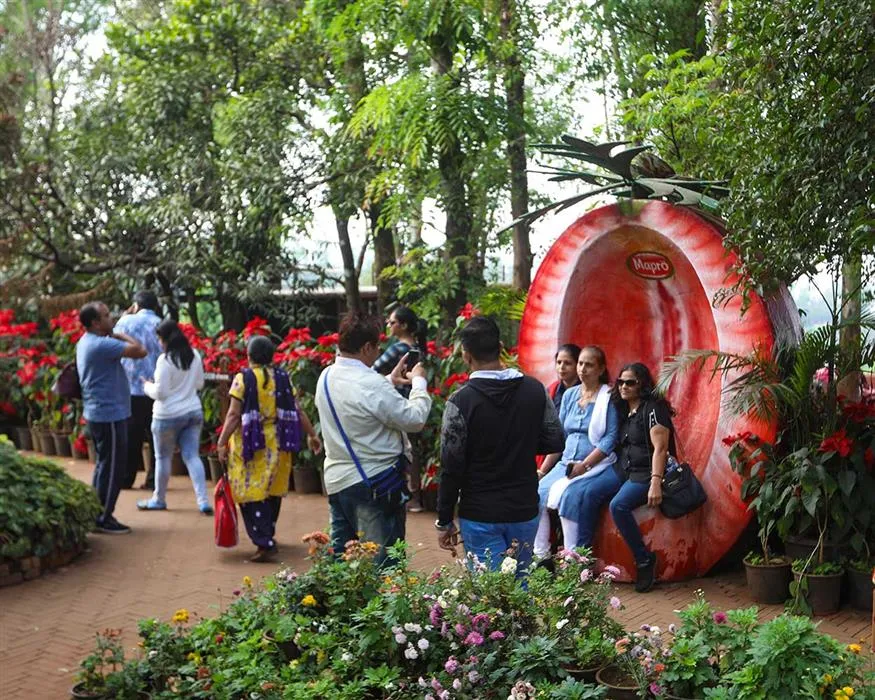 Strawberry farms in maharashtra