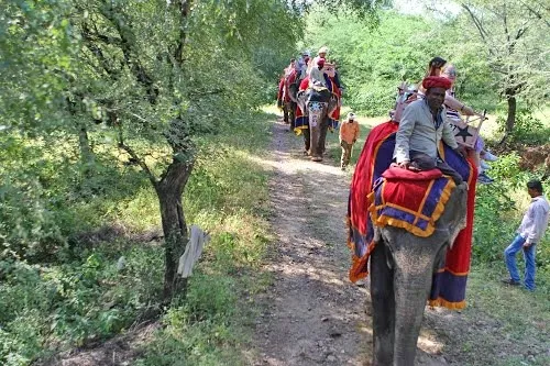 nahargarh biological park
