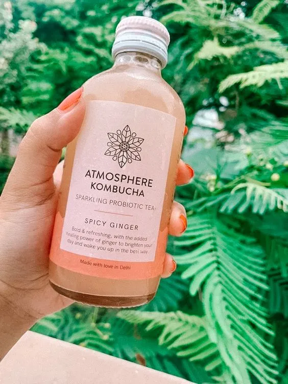 Kombucha brands from Delhi