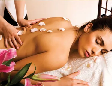 Spas in Udaipur