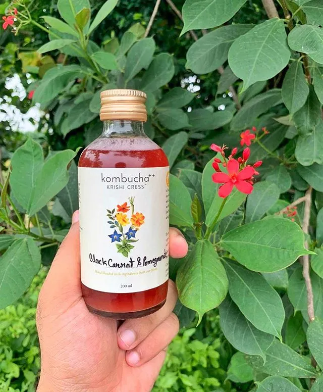 Kombucha brands from Delhi