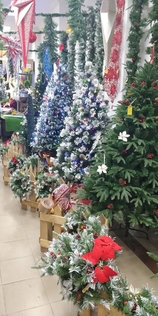Christmas tree in Bangalore