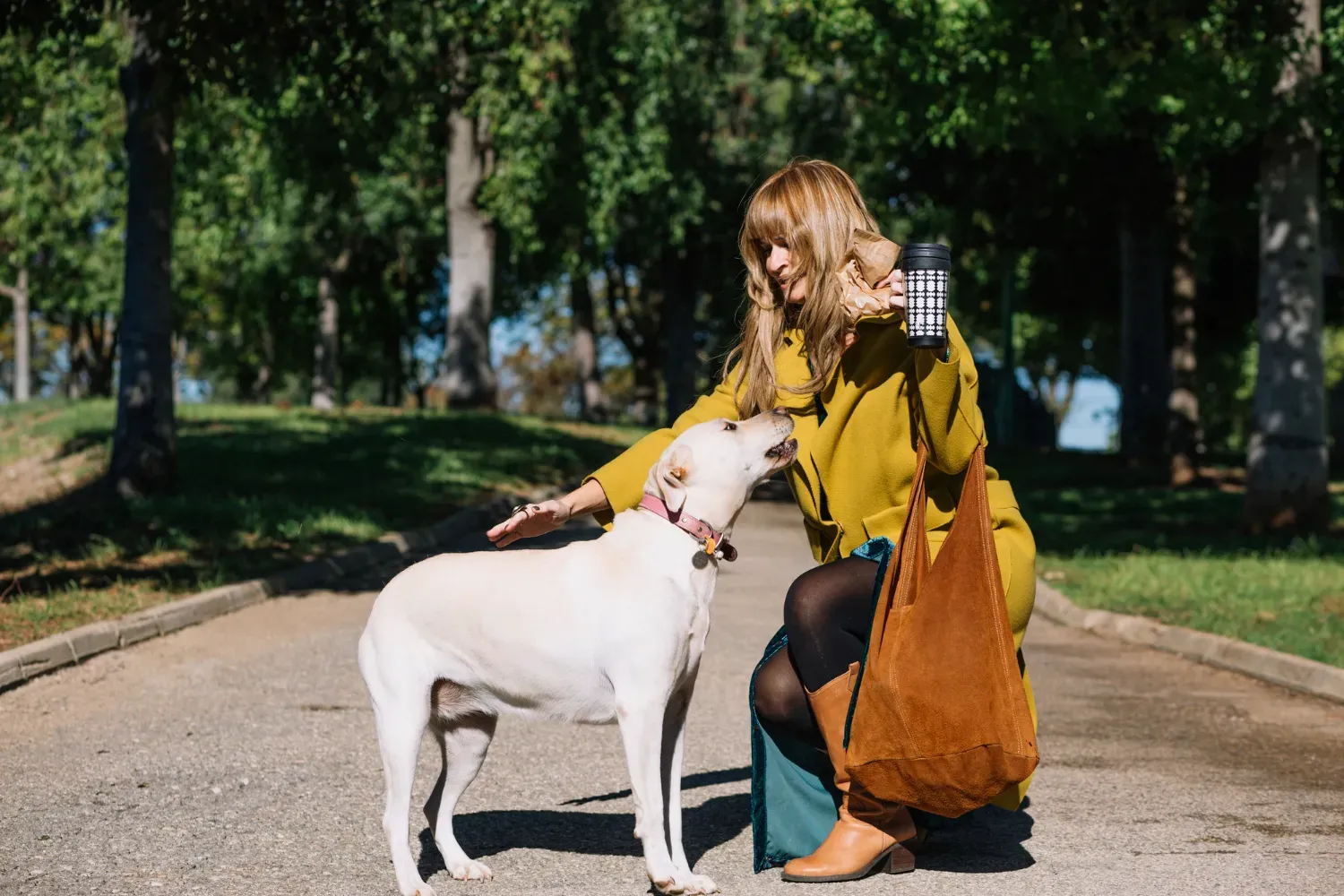 First Dog Checklist
