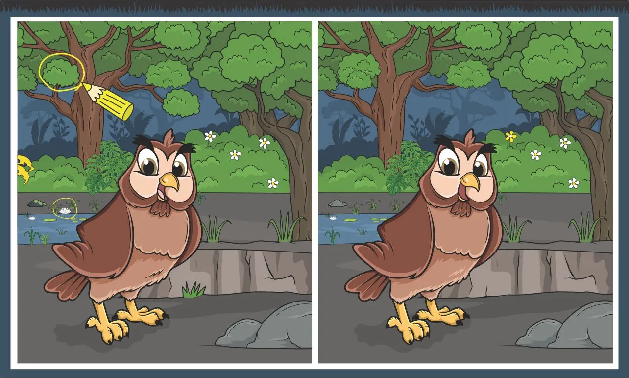 Find 10 Differences Fun Owl Picture Search