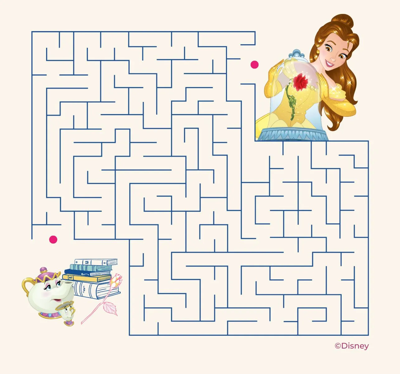 Find the Way The Princess Journey to the Rose
